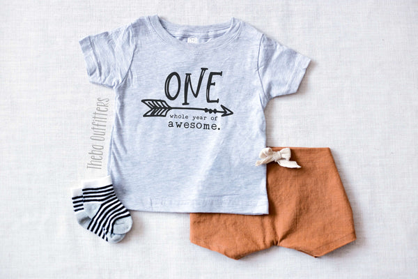 'One Whole Year of Awesome' Birthday Tee Shirt First Birthday Baby Toddler Theba Outfitters