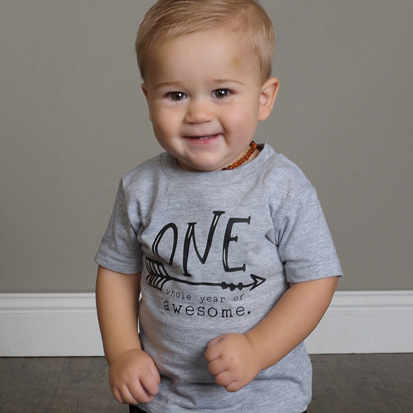 'One Whole Year of Awesome' Birthday Tee Shirt First Birthday Baby Toddler Theba Outfitters